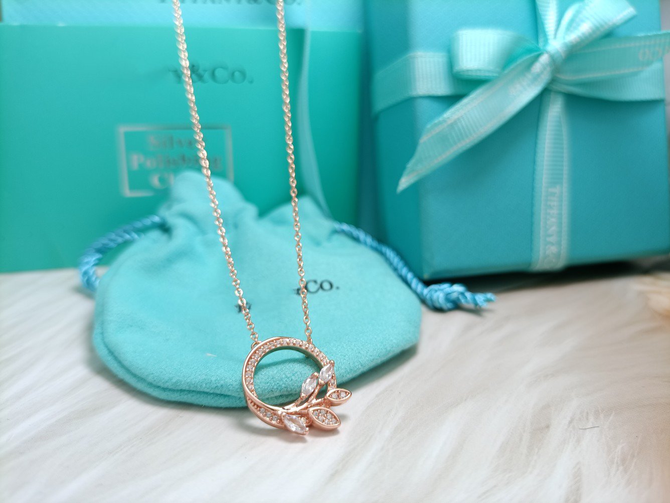 TIFFANY & CO. DIAMOND VINE CIRCLE PENDANT PLATINUM NECKLACE