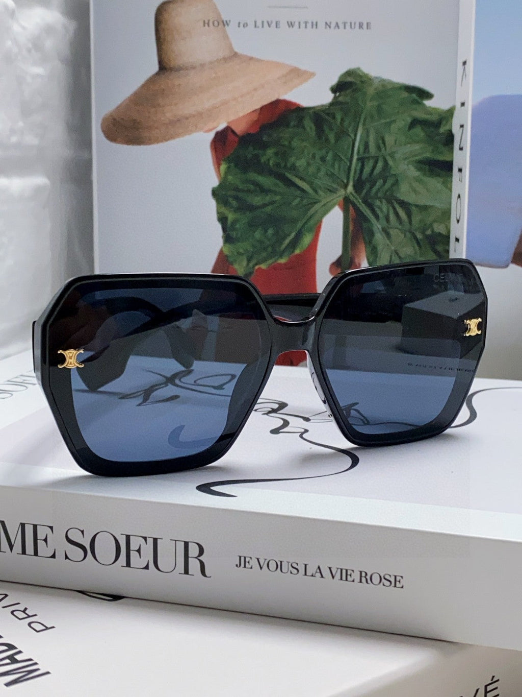 CELINE TRIOMPHE SUNGLASSES 552772 IN BLACK ACETATE